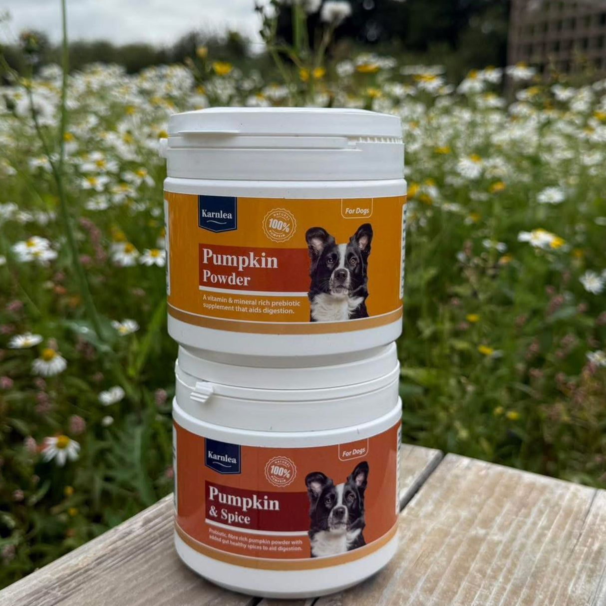 Pumpkin & Spice Powder Topper for Dogs