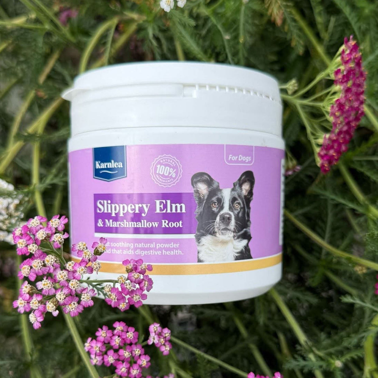 Slippery Elm & Marshmallow Root Powder