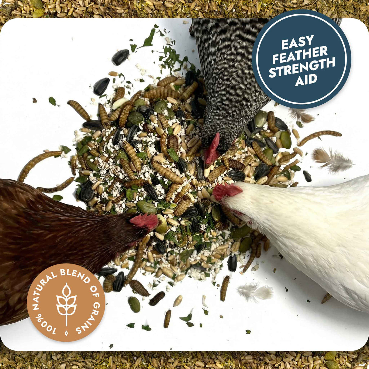 Feather and Shell - Calci-Protein Blend (Chicken Feed Additive)