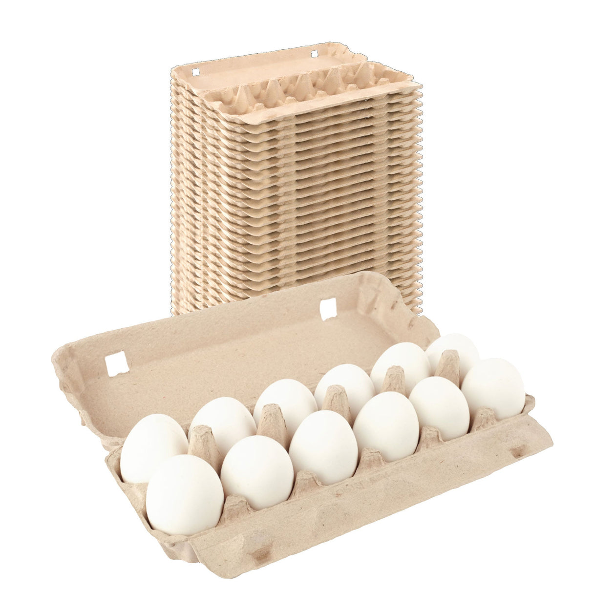 12-Egg Carton (1x12) - Natural Pulp, Flat Blank Top