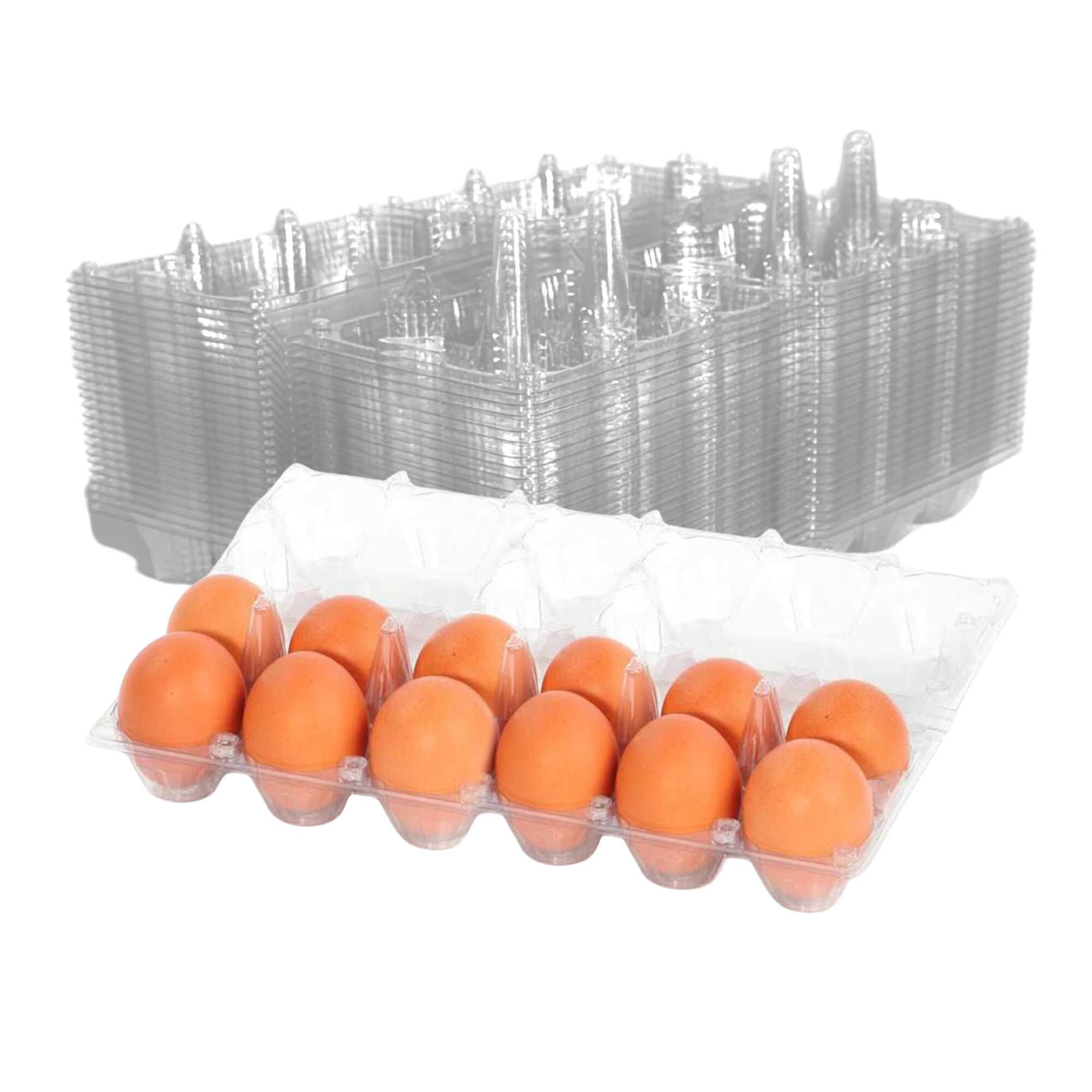 12-Egg Cartons - Clear Plastic