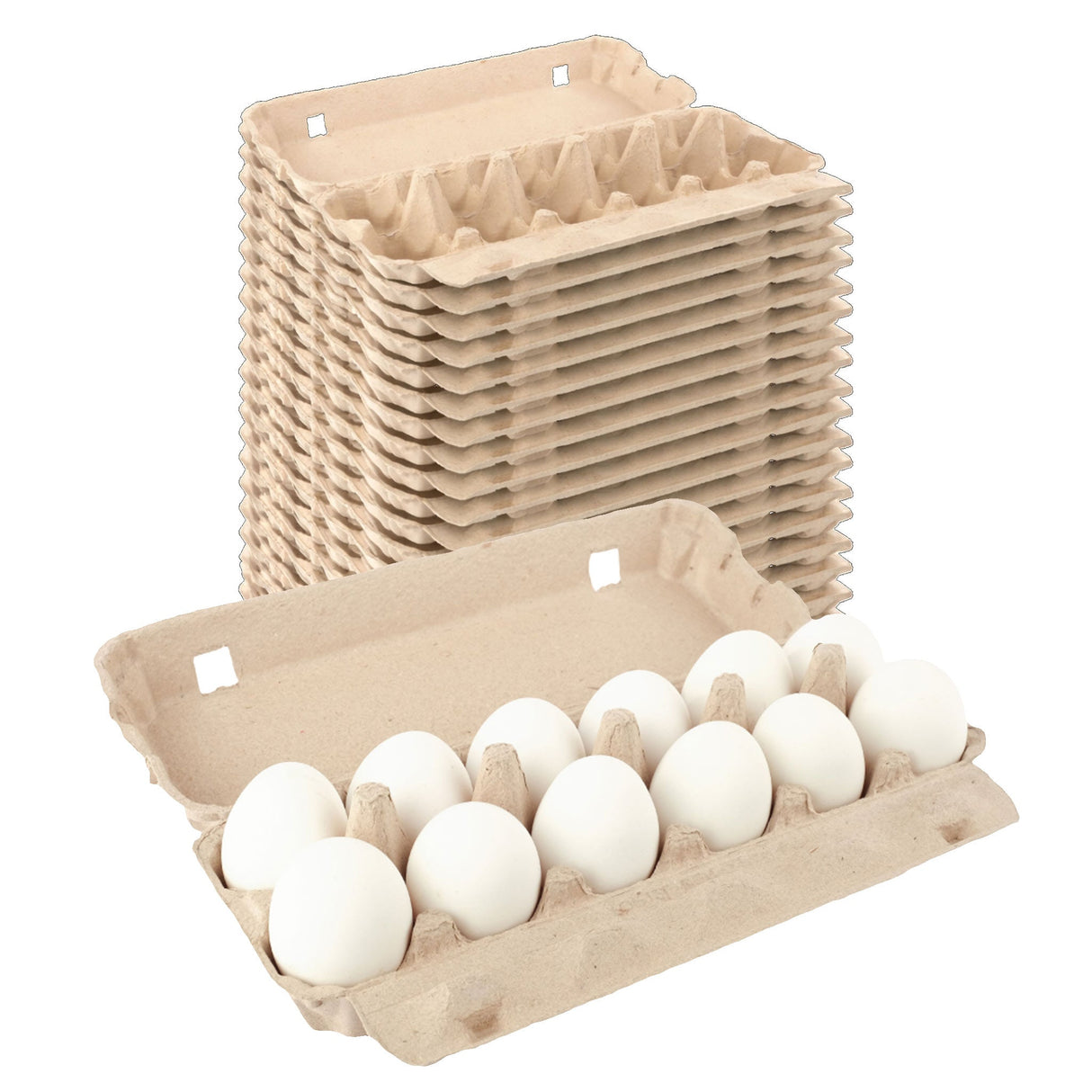 12-Egg Carton (1x12) - Natural Pulp, Flat Blank Top