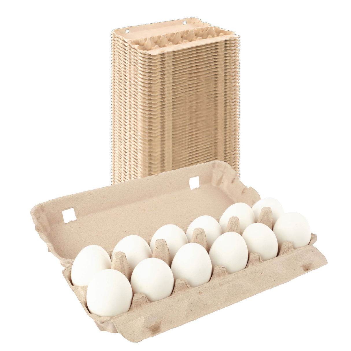 12-Egg Carton (1x12) - Natural Pulp, Flat Blank Top
