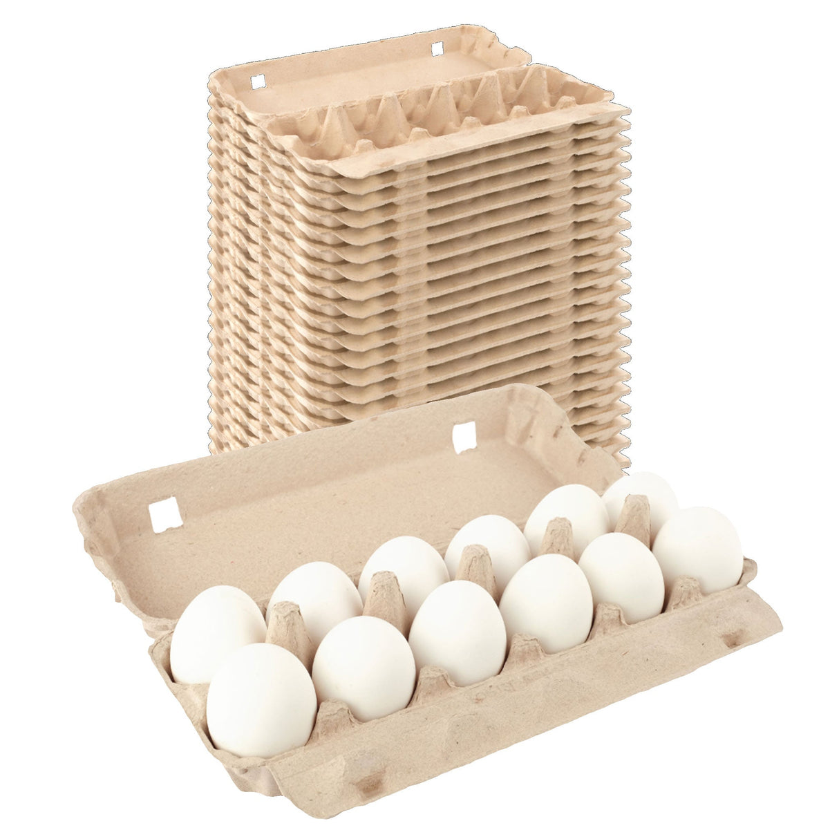 12-Egg Carton (1x12) - Natural Pulp, Flat Blank Top