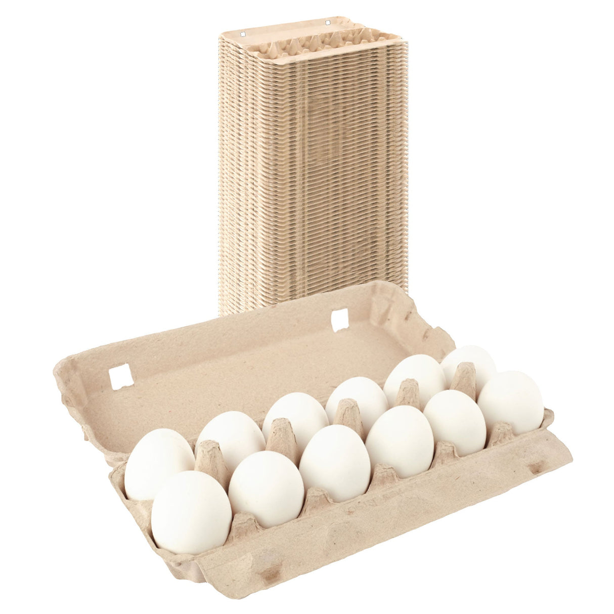 12-Egg Carton (1x12) - Natural Pulp, Flat Blank Top