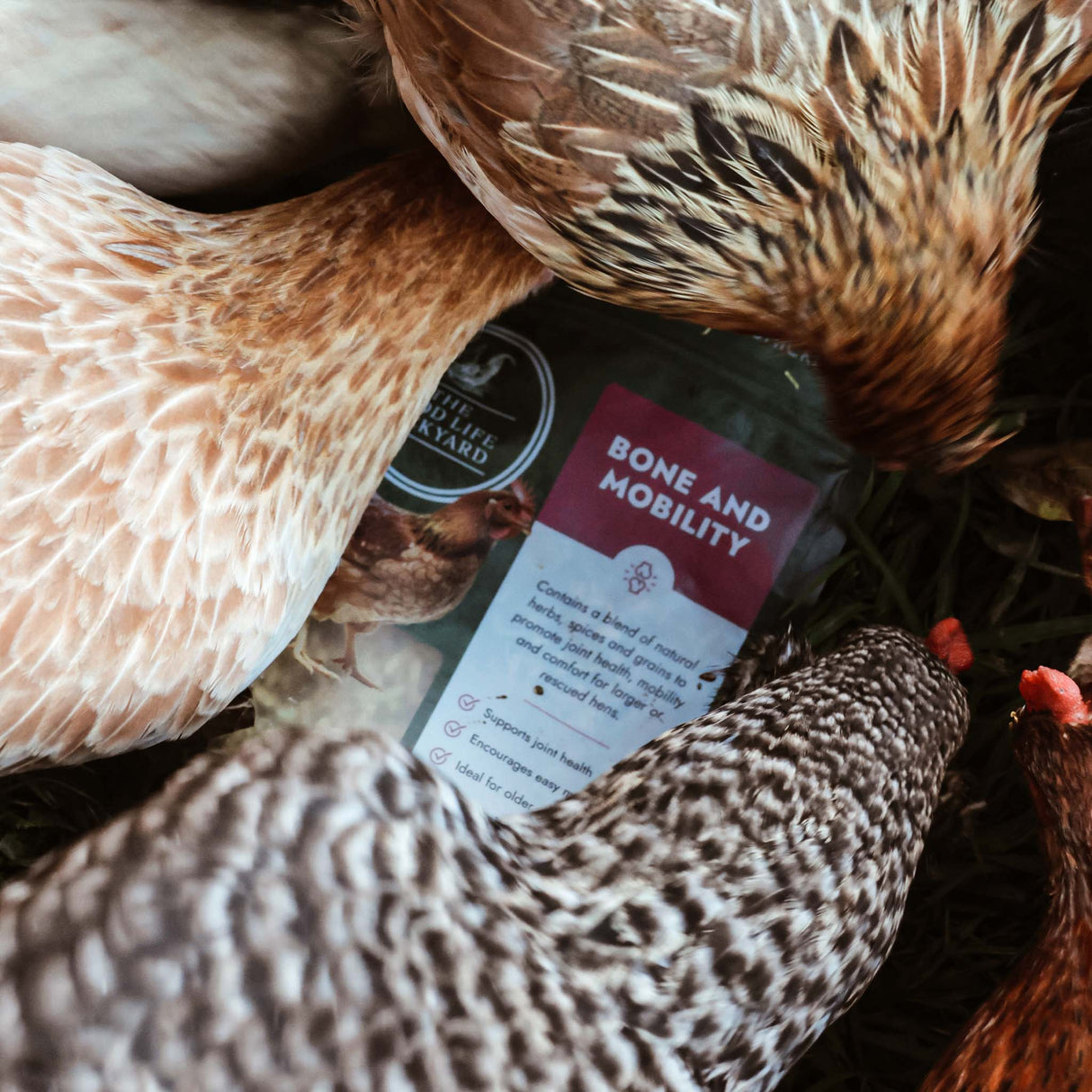 Bone and Mobility - Joint & Bone Support (Chicken Feed Additive)