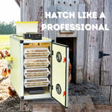 CT180 H - Egg Hatcher Only Automatic Poultry Hatching Machine