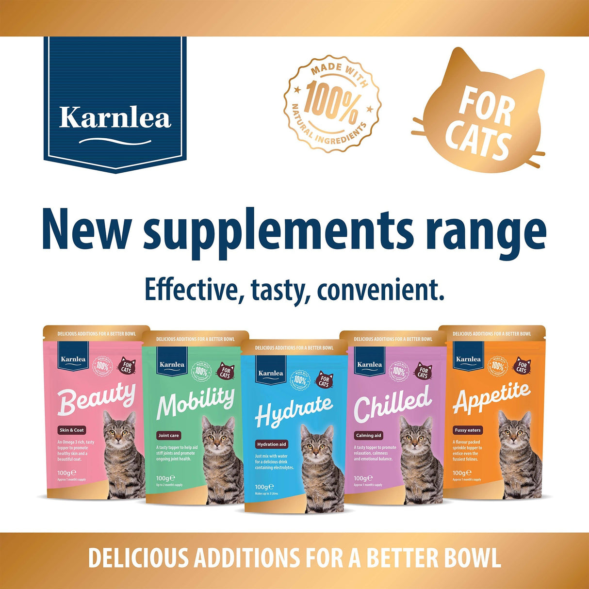 Appetite - Fussy Eaters for Cats