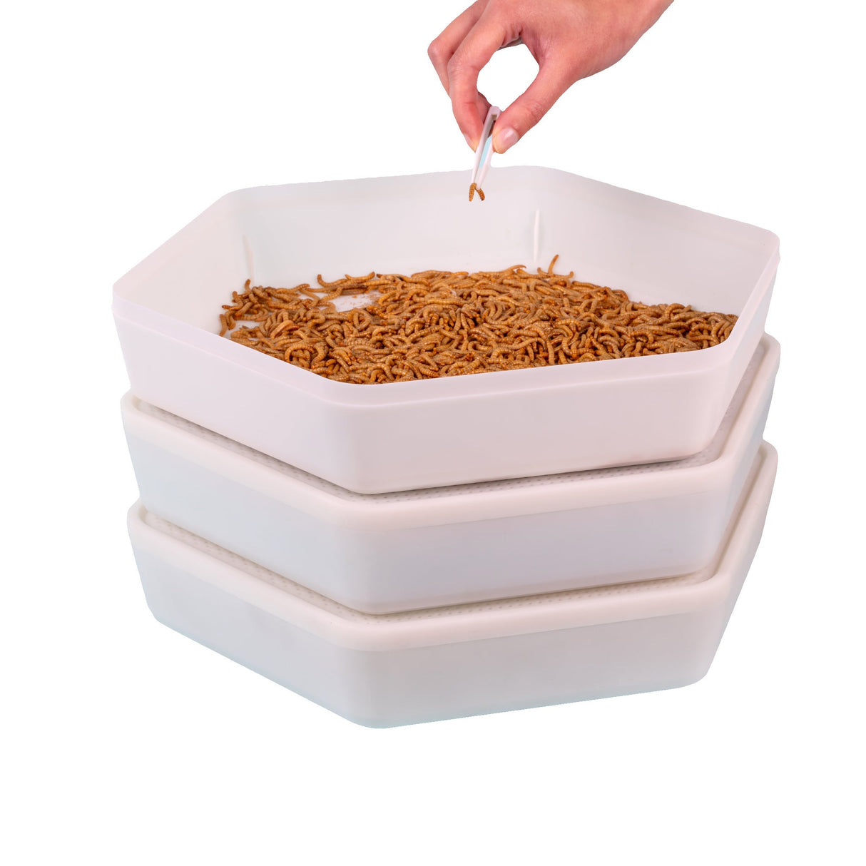 The Mealworm Growing Pods
