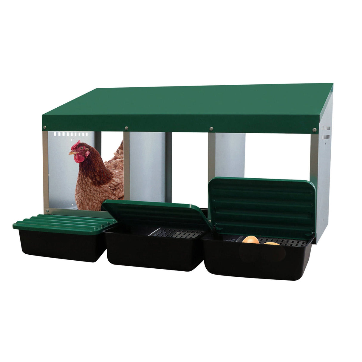 EggHouse Galvanized Nesting Box (Up to 30 Birds)