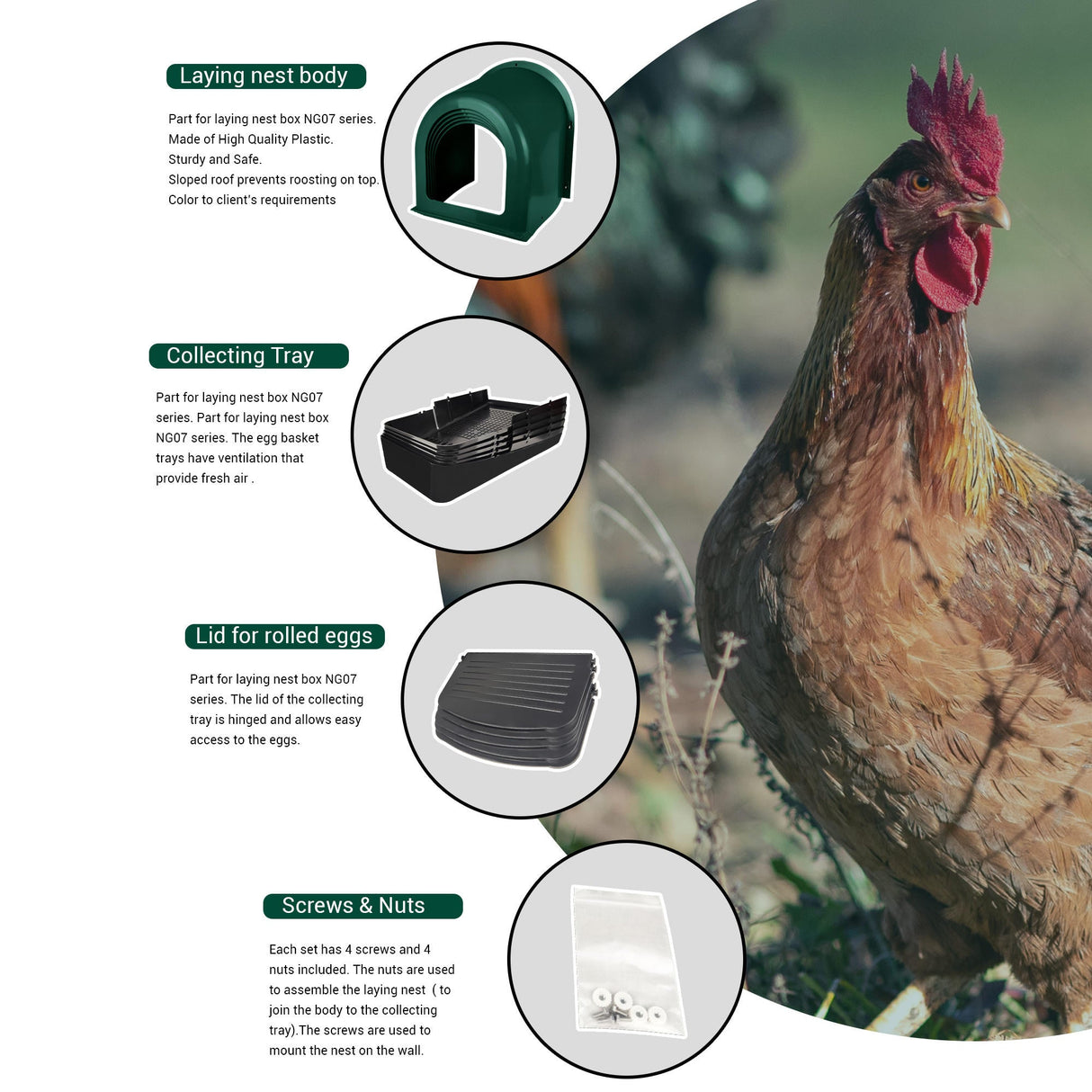 EggHouse Roll-Out Nesting Box Wall Mount up to 10 Birds