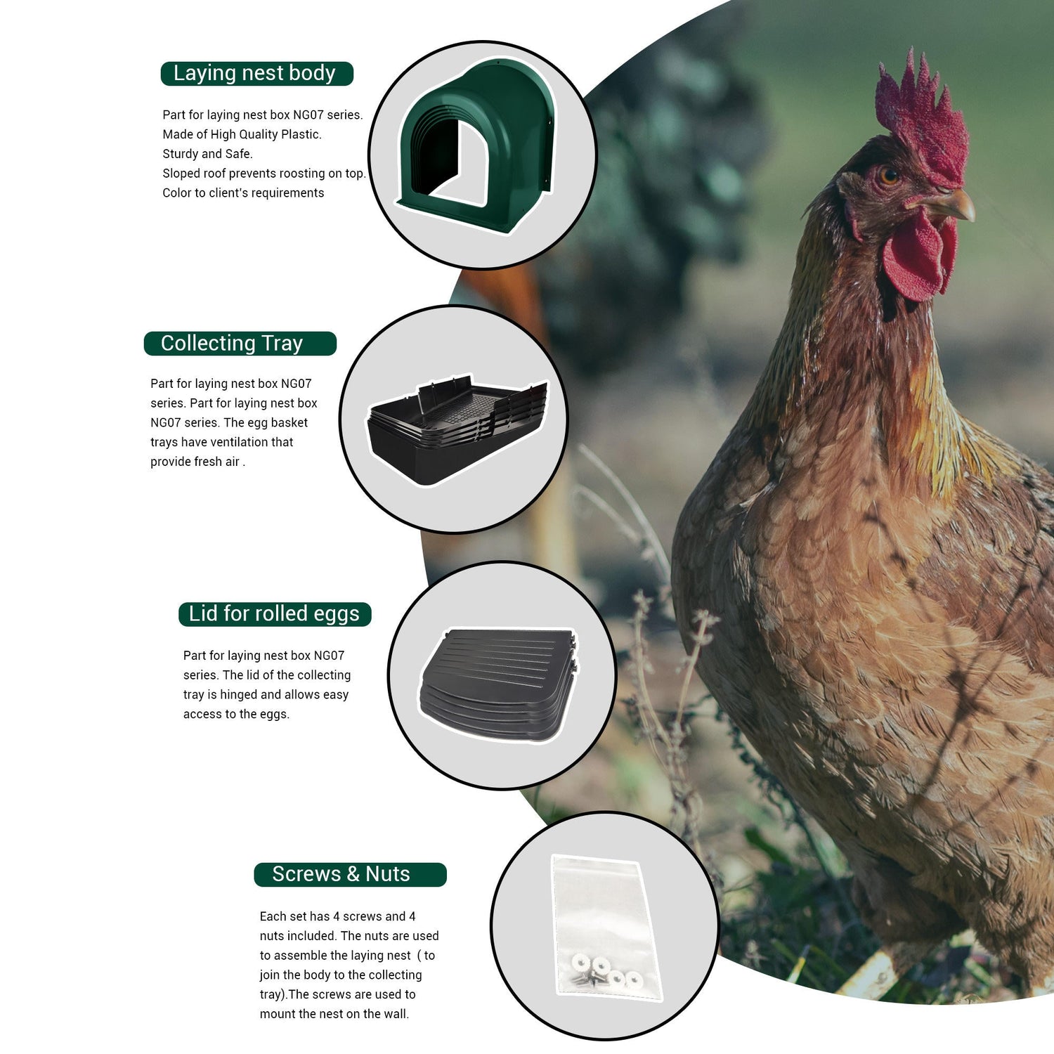 EggHouse Roll-Out Nesting Box Wall Mount up to 10 Birds