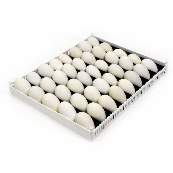 Flexy80 Egg Setter Tray Only - without separators