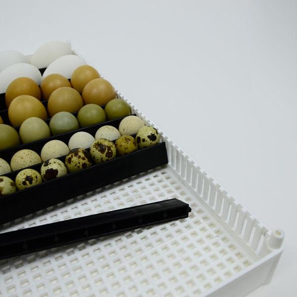 Flexy80 Egg Setter Tray Only - without separators