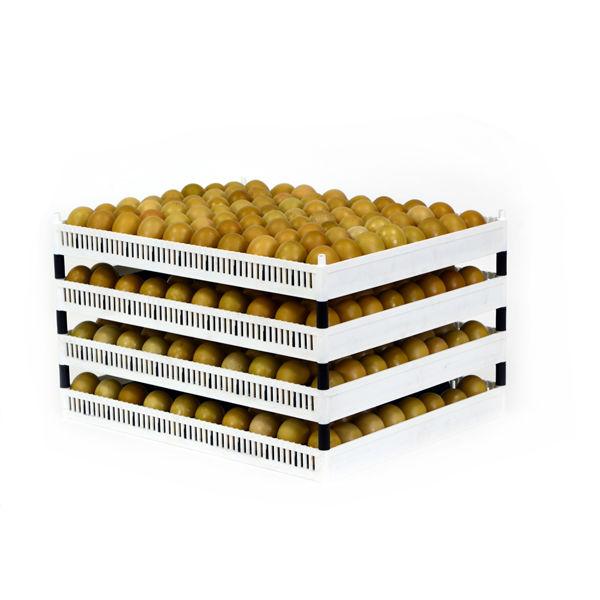 Flexy80 Egg Setter Tray Only - without separators