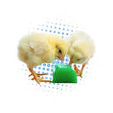 HydroGel 95 Chick Hydration