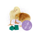 HydroGel 95 Chick Hydration