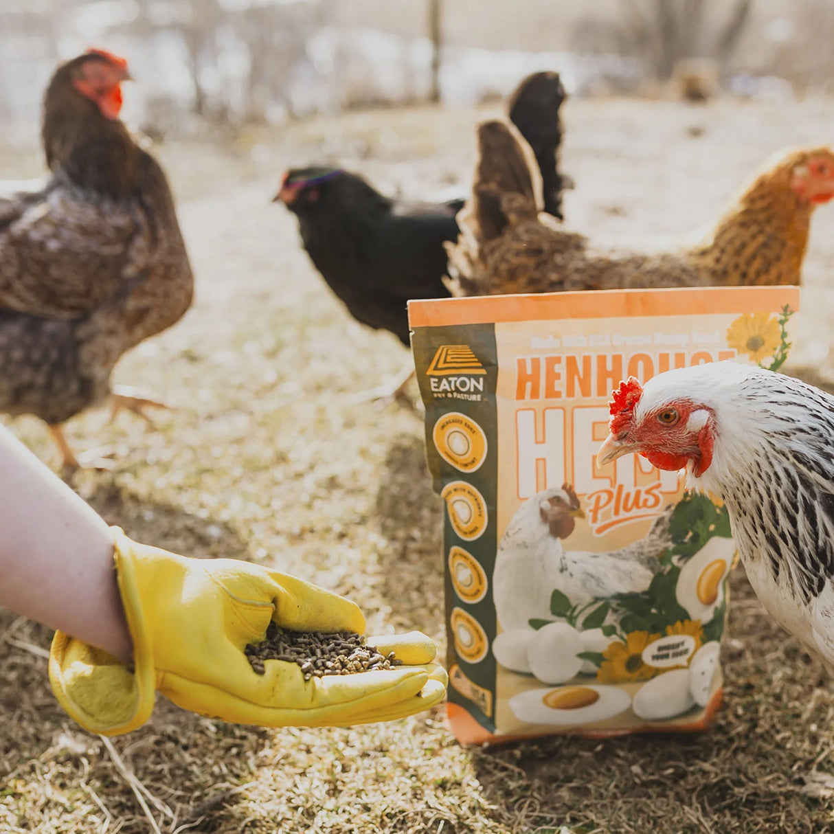 Henhouse Hemp Plus 4lb