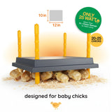 Warmzy Heating Plate (10" x 12") 20-25 chicks