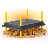 Warmzy Heating Plate (12" x 16") 25 - 30 chicks