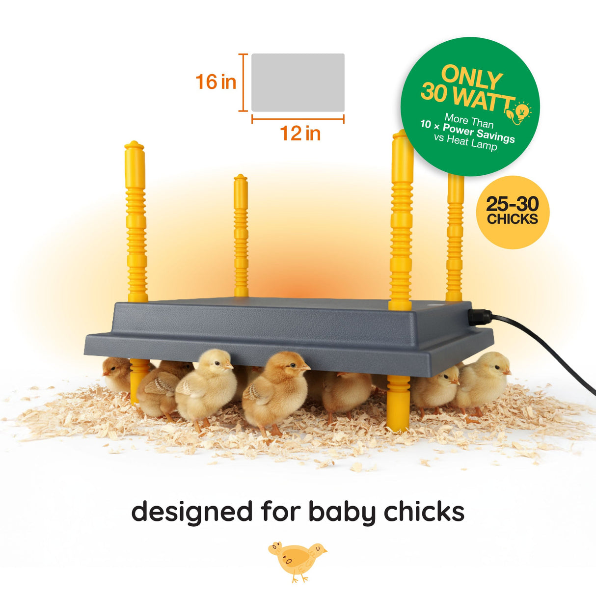 Warmzy Heating Plate (12" x 16") 25 - 30 chicks