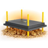 Warmzy Heating Plate (16" x 22") 50-55 chicks