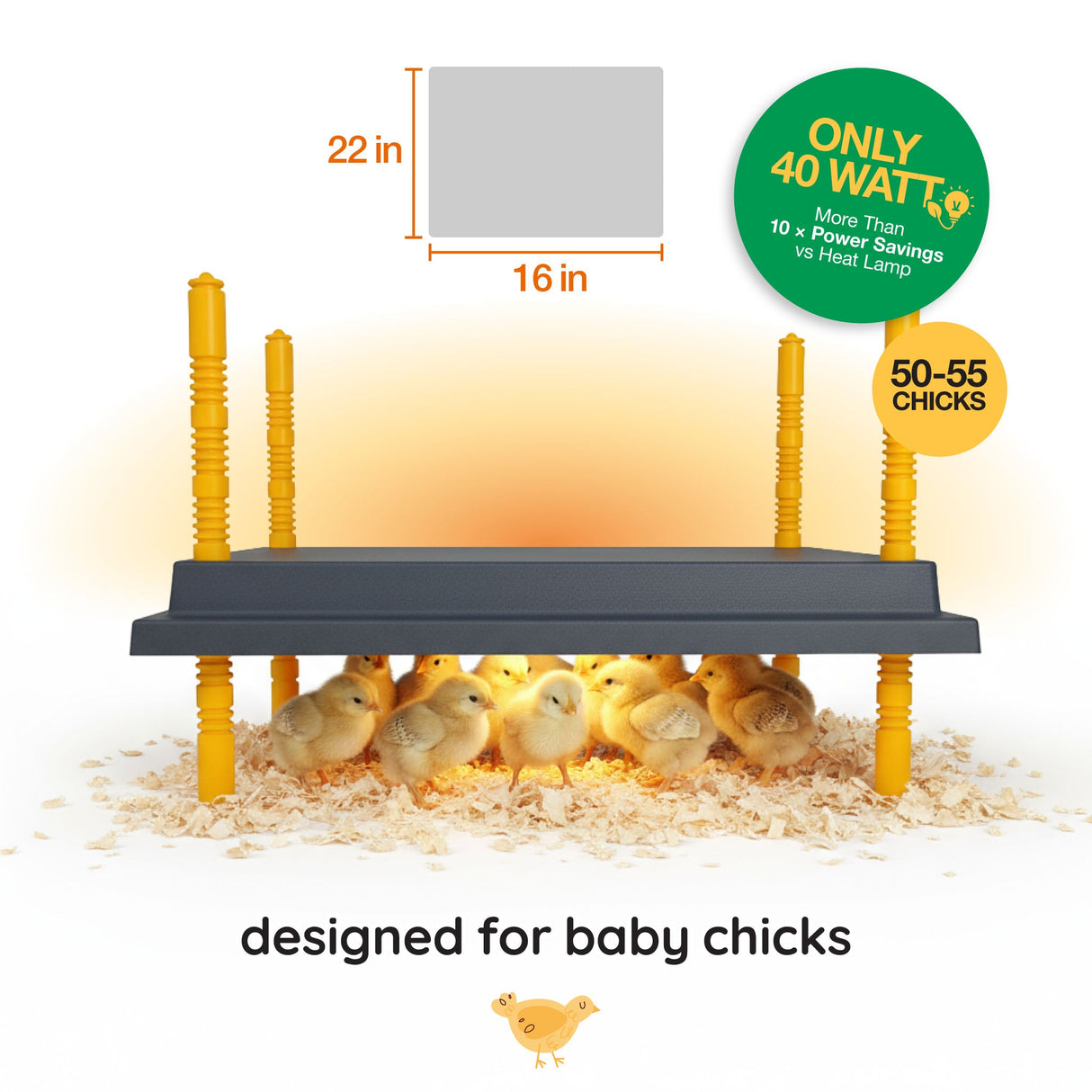 Warmzy Heating Plate (16" x 22") 50-55 chicks
