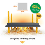 Warmzy Heating Plate (16" x 22") 50-55 chicks