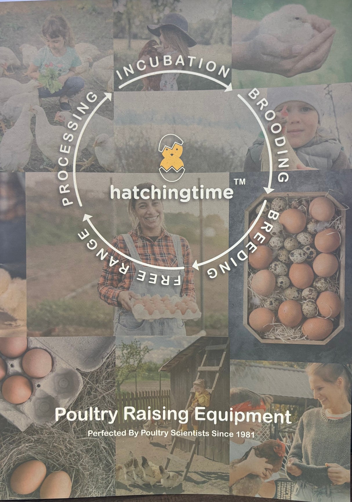 Hatching Time Catalog 2022