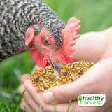 Healthy Harvest Non-GMO Whole & Hearty - 30 lb