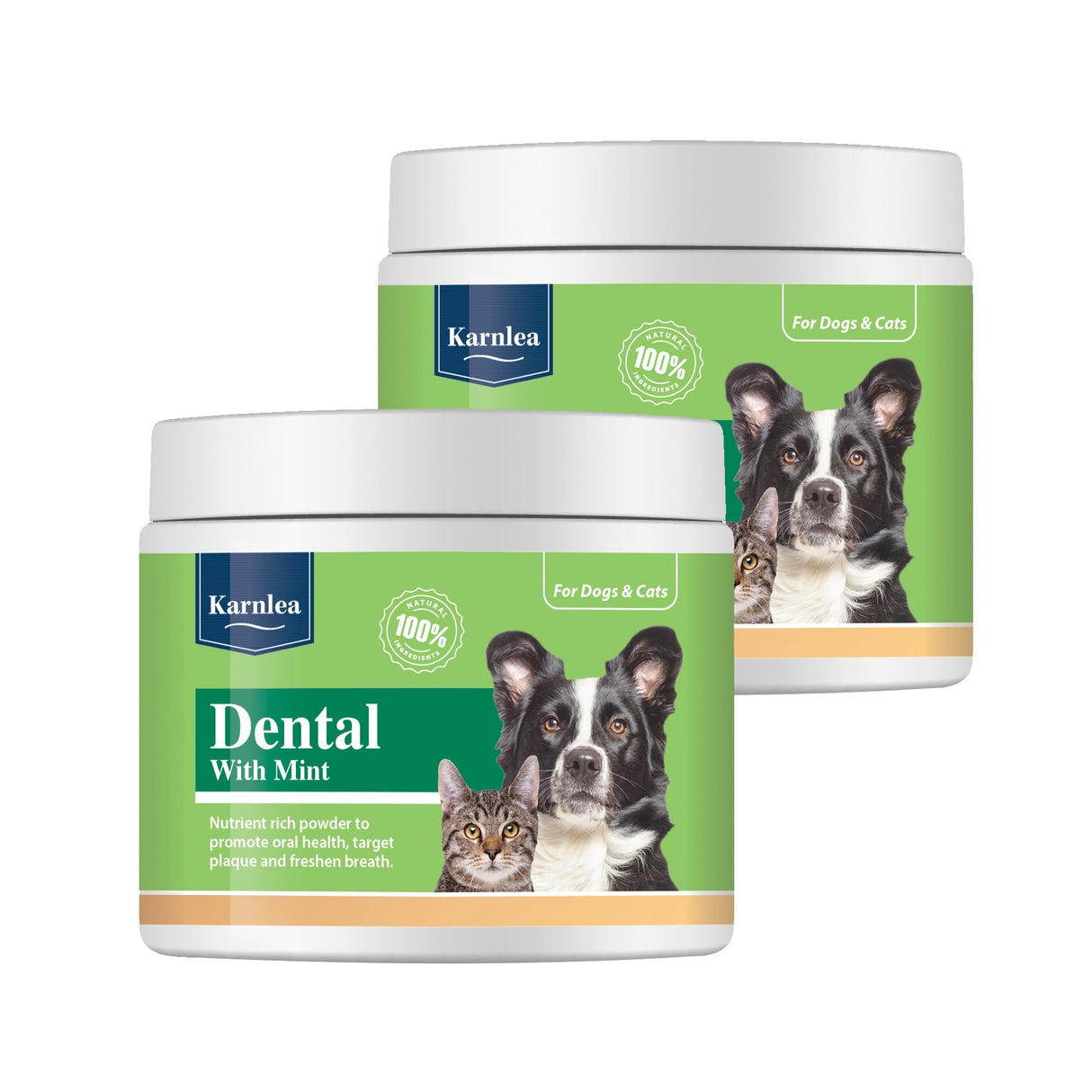 Dental with Mint Topper