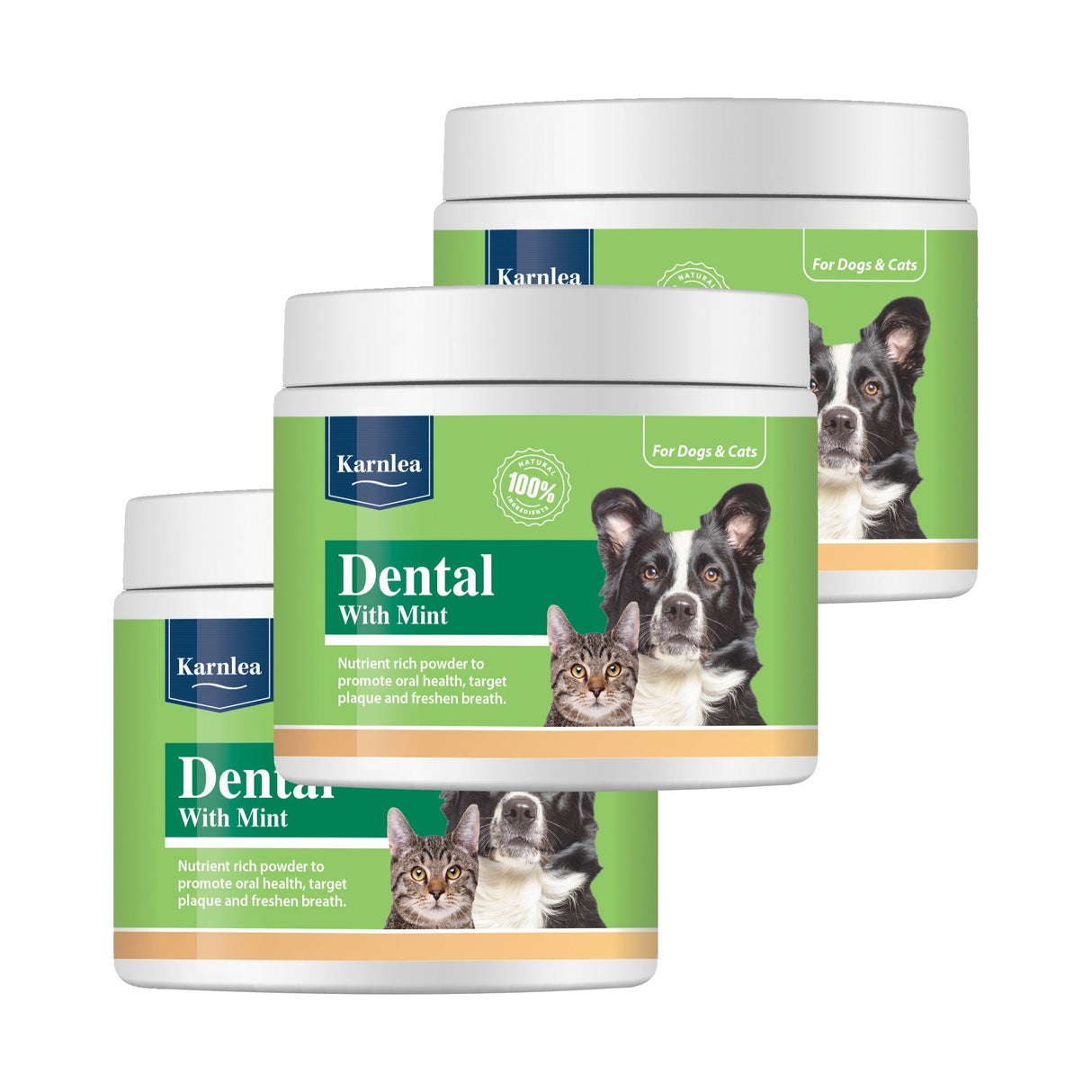 Dental with Mint Topper