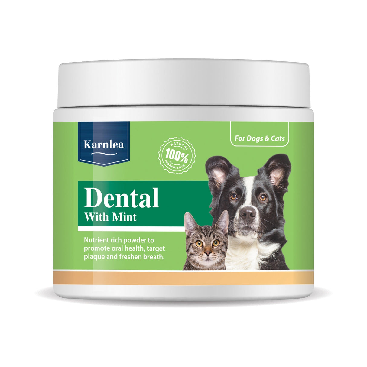 Dental with Mint Topper