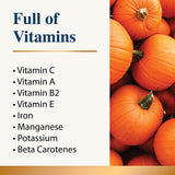 Pumpkin Powder for Dogs