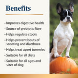 Pumpkin Powder for Dogs