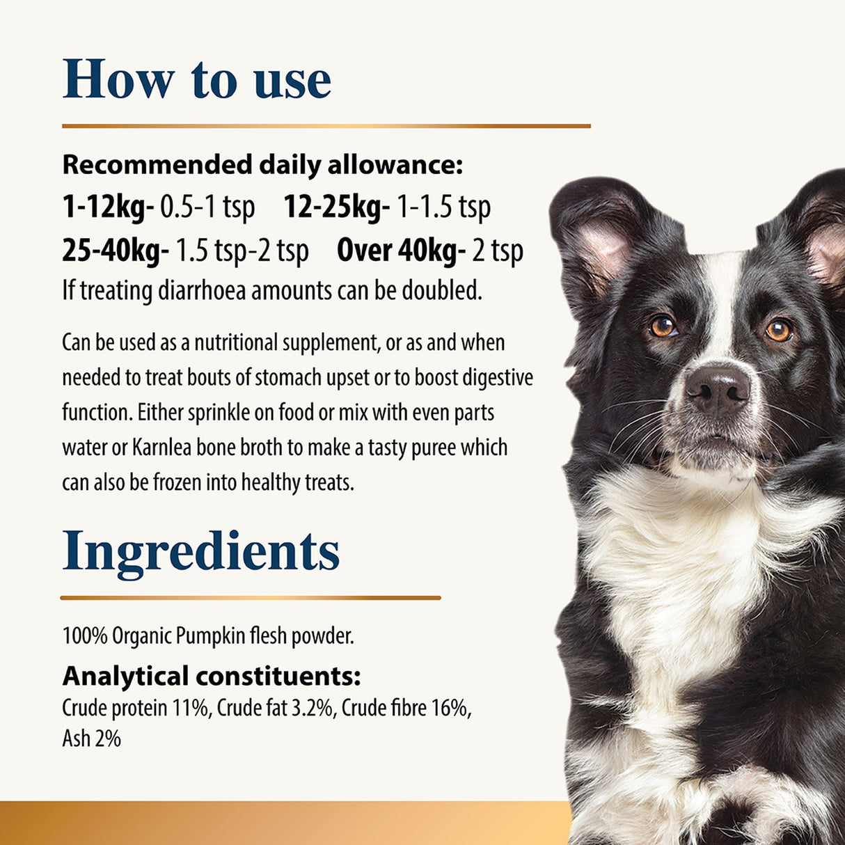 Pumpkin Powder for Dogs