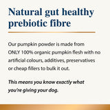 Pumpkin Powder for Dogs