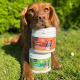 Pumpkin & Spice Powder Topper for Dogs