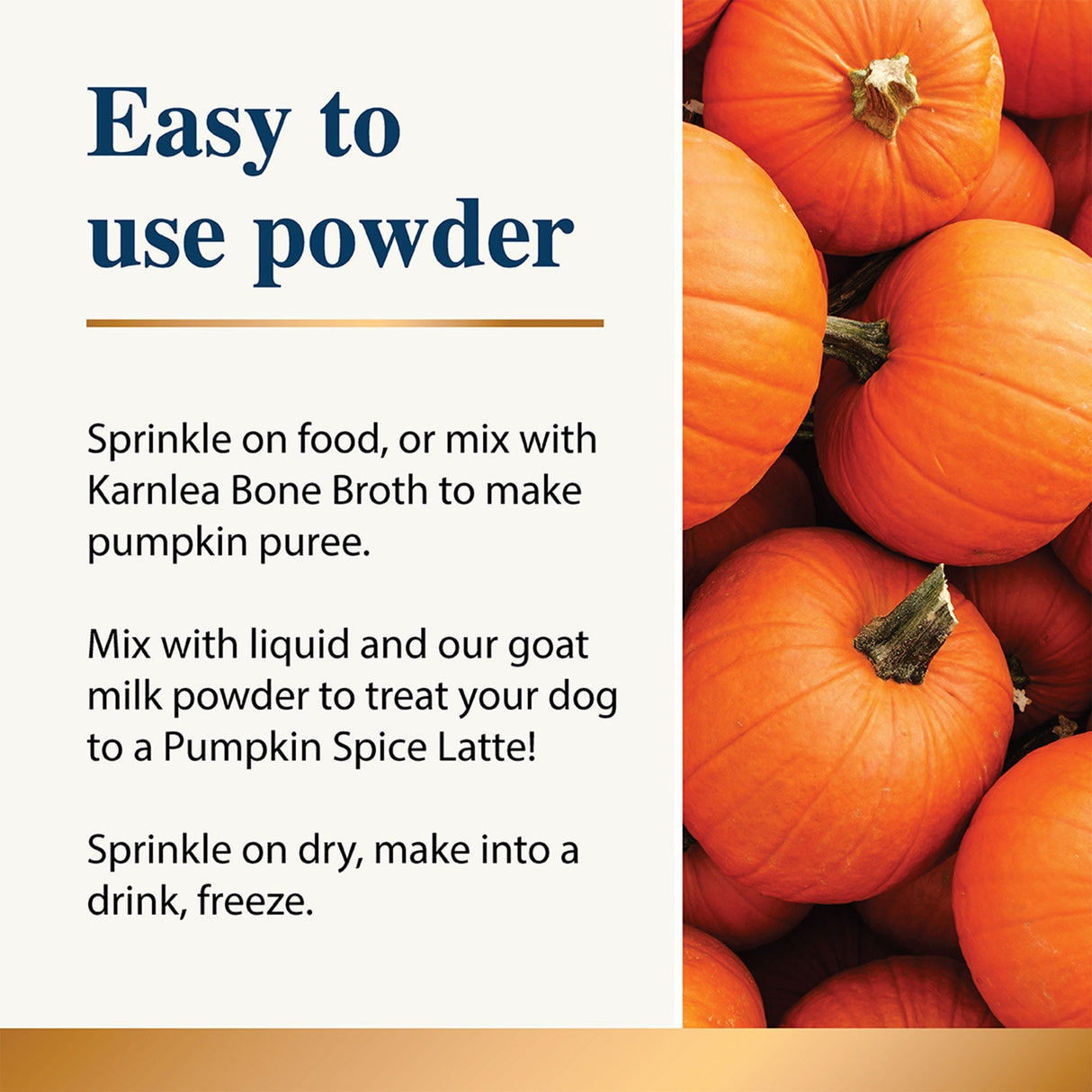 Pumpkin & Spice Powder Topper for Dogs