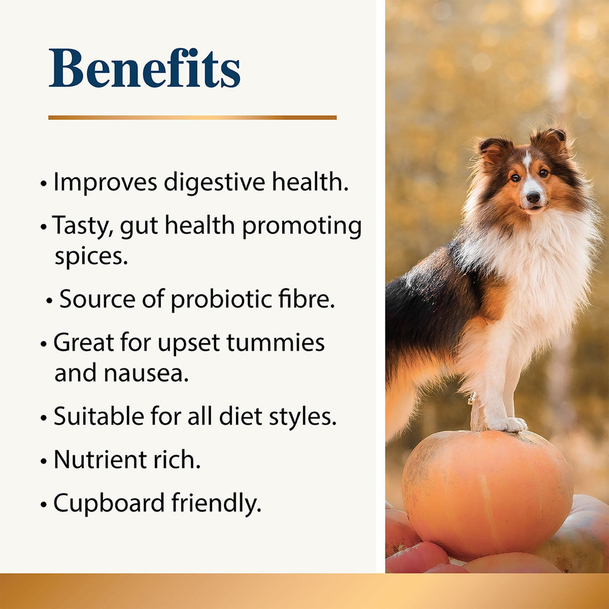 Pumpkin & Spice Powder Topper for Dogs