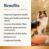 Pumpkin & Spice Powder Topper for Dogs