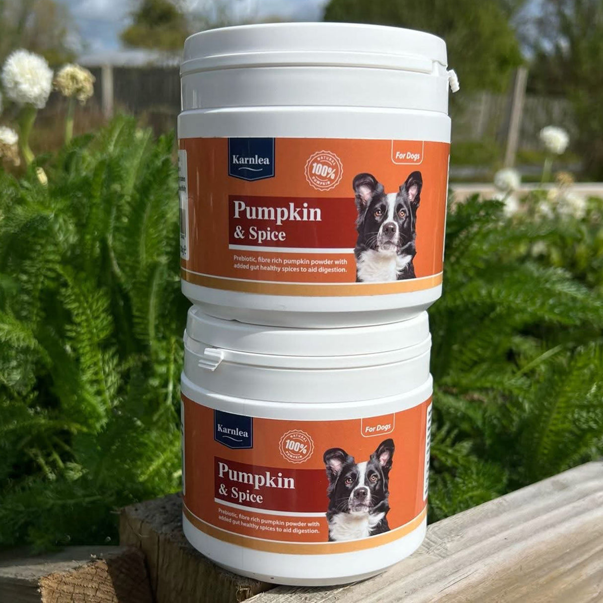 Pumpkin & Spice Powder Topper for Dogs