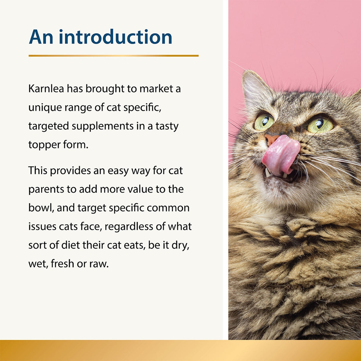 Mobility - Joint Care for Cats