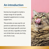 Mobility - Joint Care for Cats