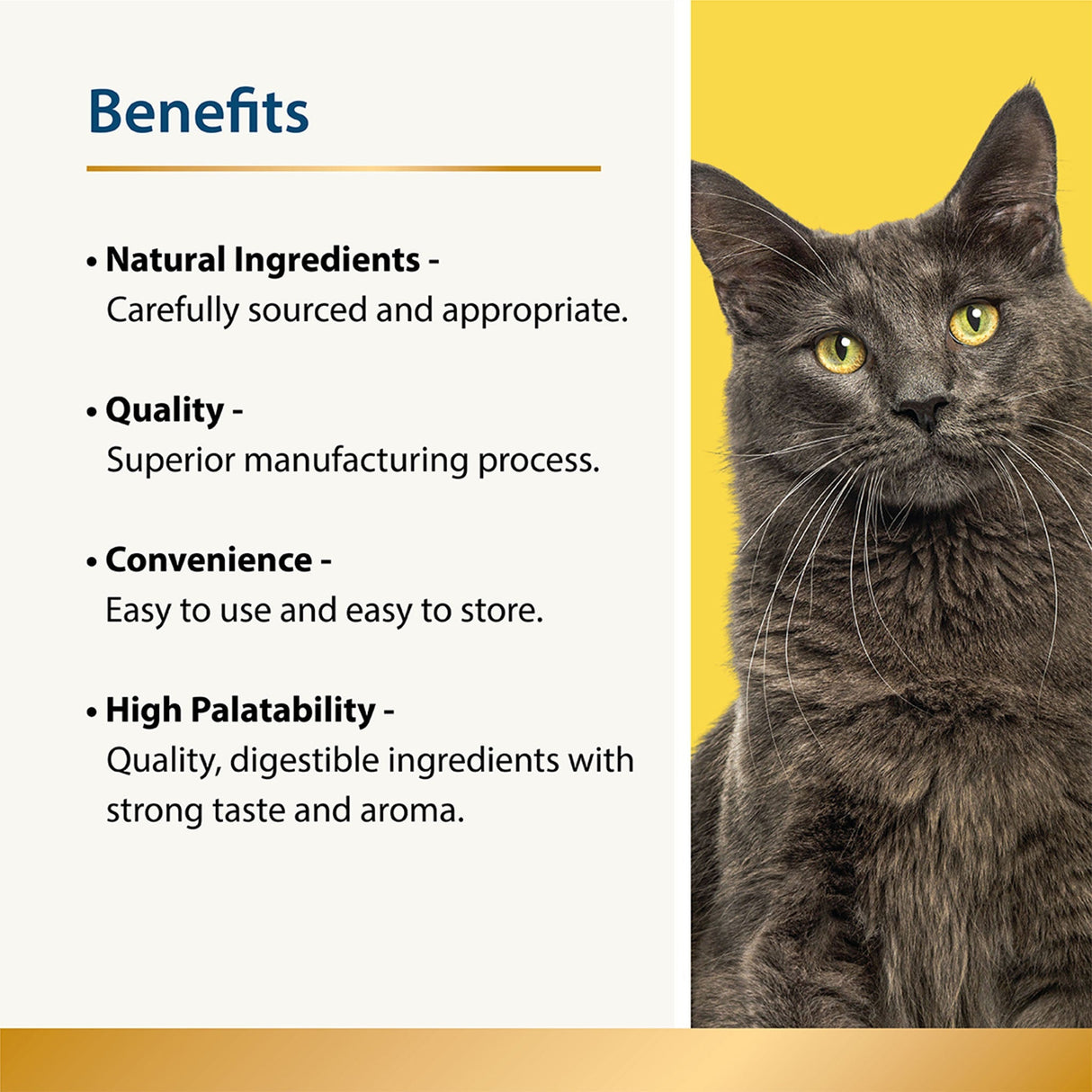 Mobility - Joint Care for Cats