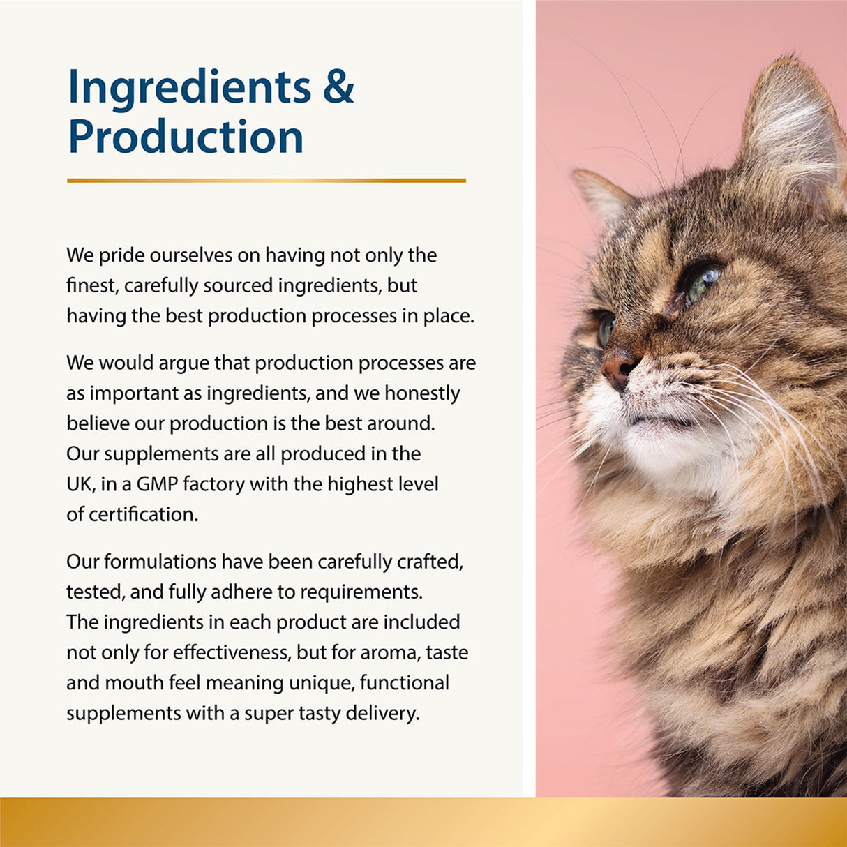 Mobility - Joint Care for Cats