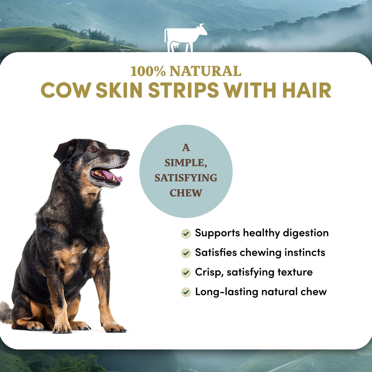 Beef Skin Strips with Hair - Dog Treats (4 lb 6 oz)