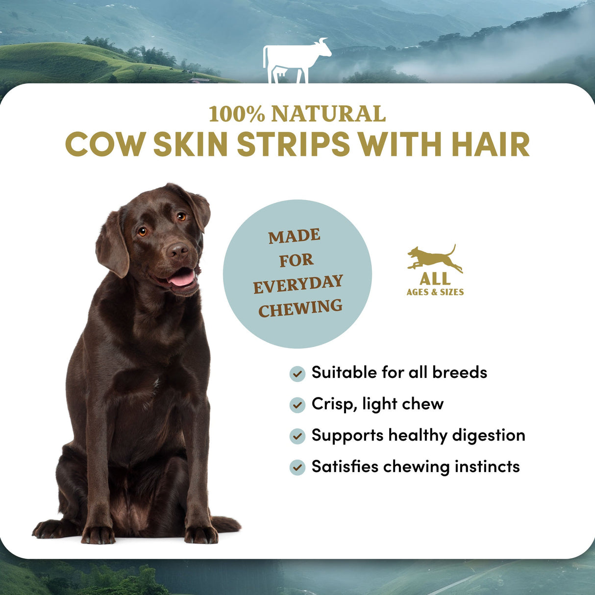 Beef Skin Strips with Hair - Dog Treats (4 lb 6 oz)