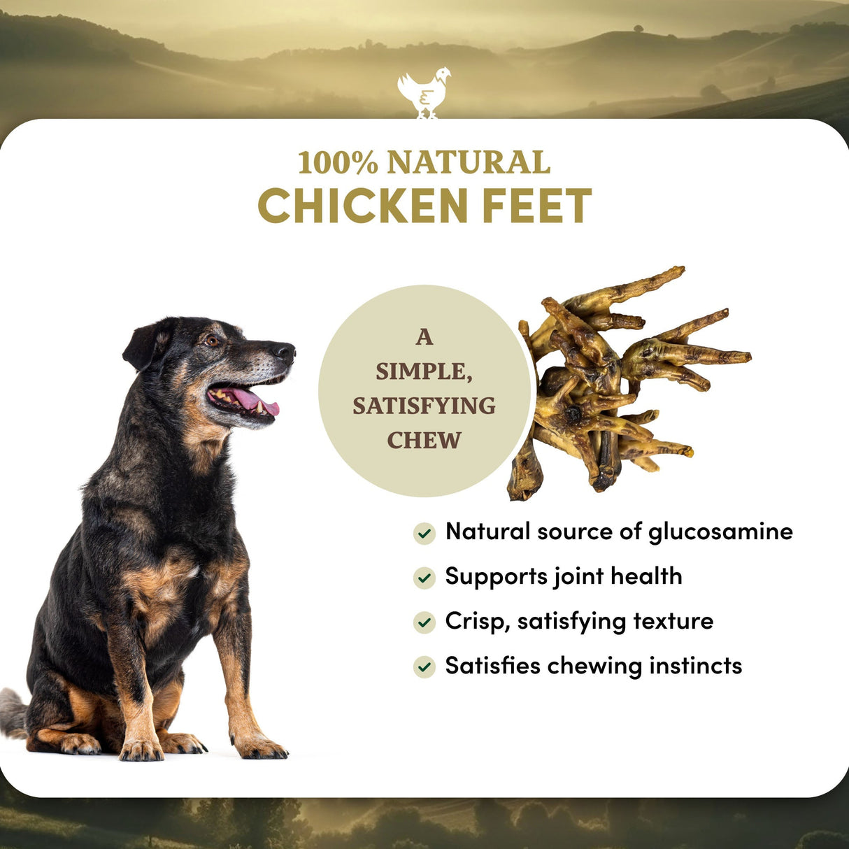 Chicken Feet - Dog Treats