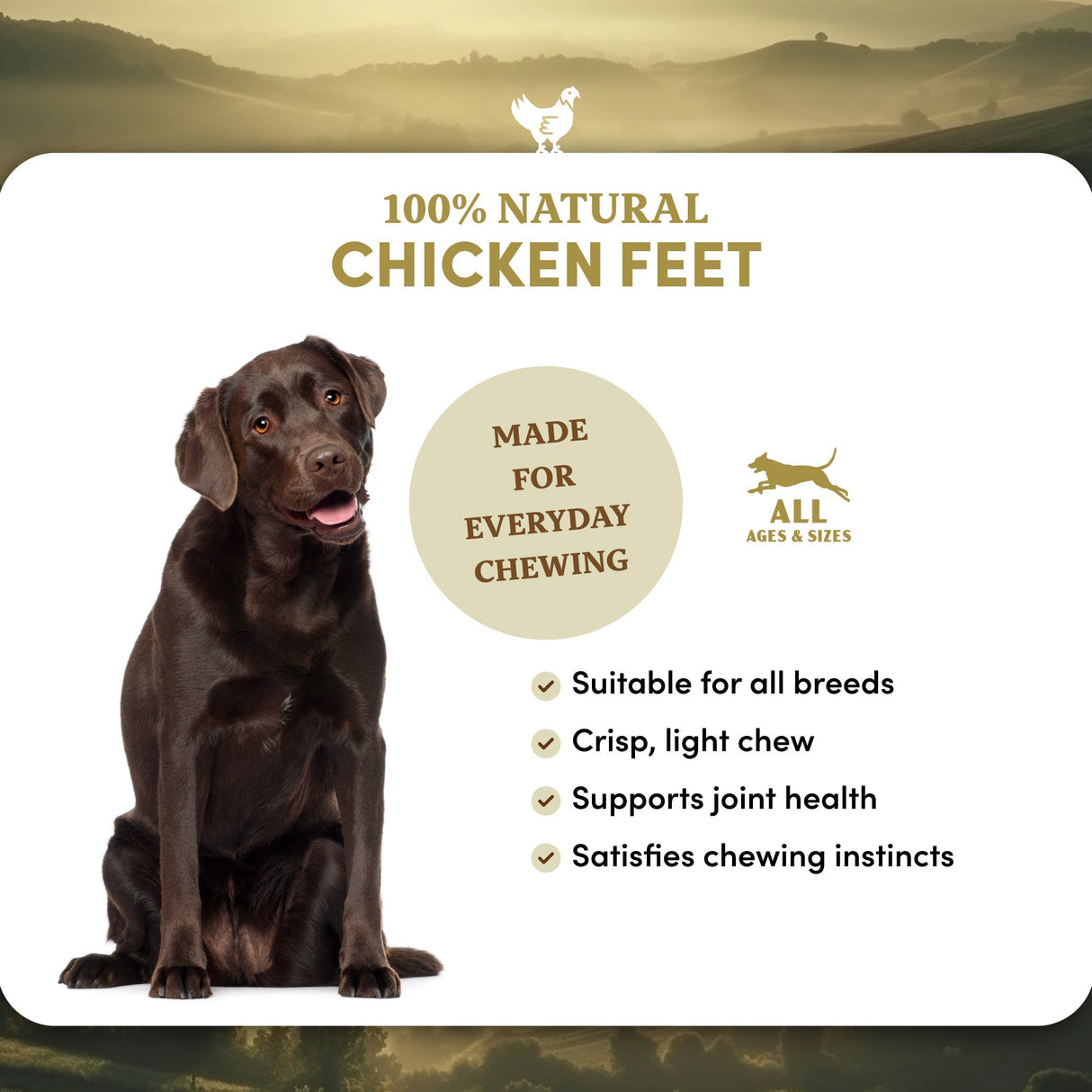 Chicken Feet - Dog Treats